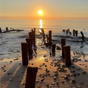 Meet your Posher, Jeanne